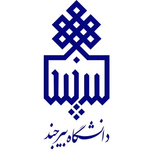 دانشگاه بیرجند